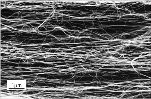 SEM image of multi-walled carbon nanotube sheet
