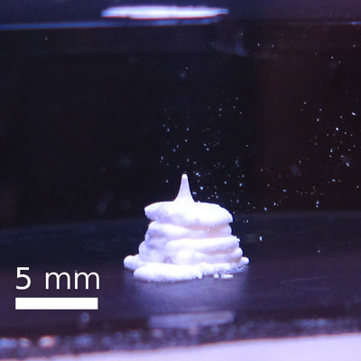 DNA crosslinked
colloidal gel printed into the pyramidal shape