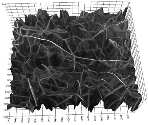 3D SEM image of single-walled carbon nanotubes
