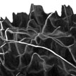 carbon_nanotubes