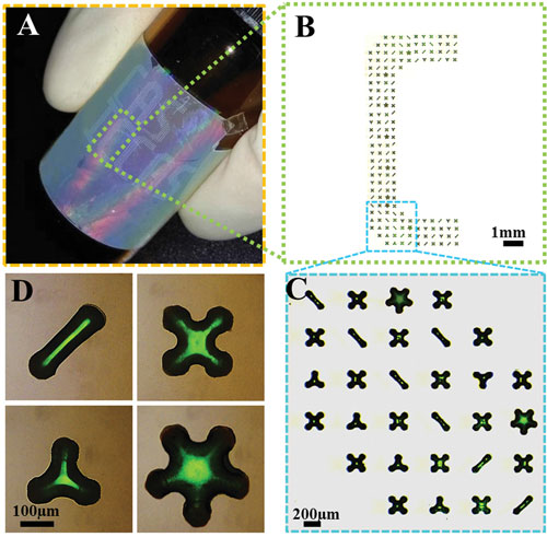 microcolloidal crystals with controllable 3D morphology used as a multi-information carrier