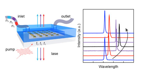 Real-time tunable lasing from gold nanoparticle arrays and liquid gain materials integrated in a microfluidic channel