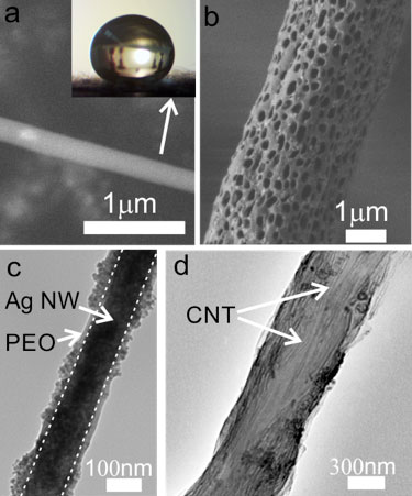 SEM and TEM images of fibers produced via mgnetospinning
