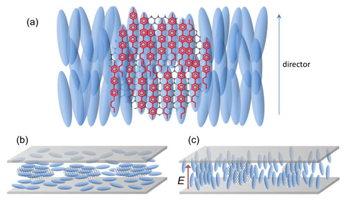 Schematic illustrations of graphene/liquid crystal interactions