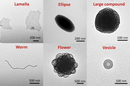 nanoparticle shapes