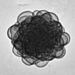 nanoparticle