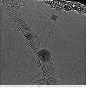 y-junction plumbing nanotubes