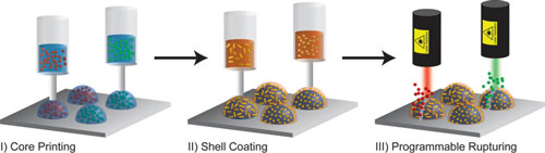 Programmable printing and rupturing of capsules