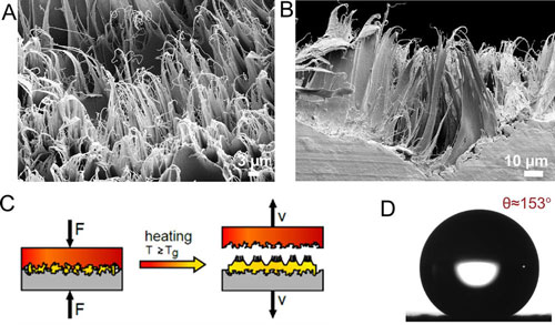 Nanofur fabricated on a polymer surface
