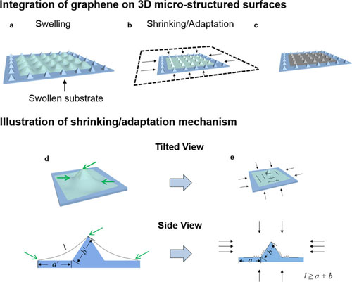 Schematic illustration of the 3D integration of graphene