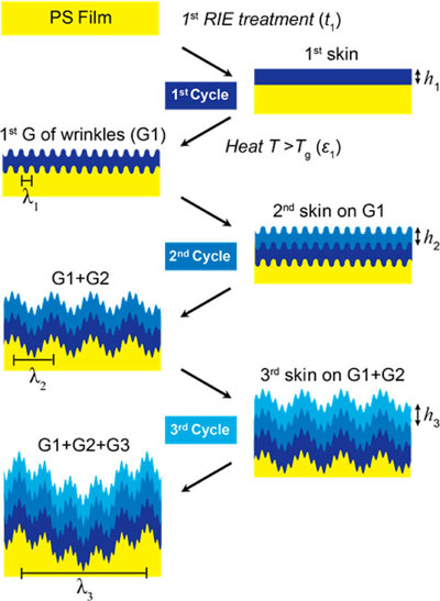 Sequential wrinkling can generate multigenerational, hierarchical structures
