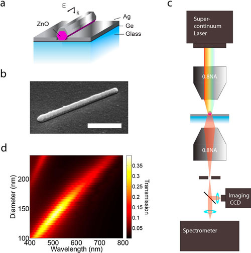 single-element optical filter consisting of a ZnO nanorod positioned between two Ag layers