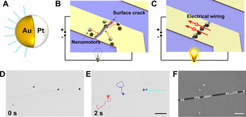 Schematic and actual process of autonomous repair of broken electronic pathways by artificial nanomotors