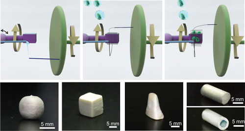 Preparation of 3D scaffolds of different shapes by touch-spinning and simultaneous spraying of cells