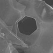 graphene