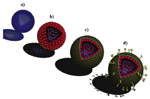 Illustration of bioinspired colloidal systems prepared via layer-by-layer assembly