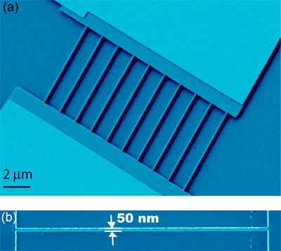 silicon nanowires in a biosensor