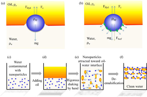 Force diagram of an (a) unfunctionalized and a (b) functionalized spherical nanoparticle