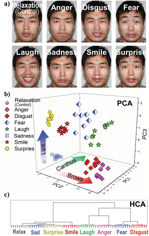 Electronics discriminant analysis of eight facial expression on nanoparticle curves-based  strain sensors array and rational analysis