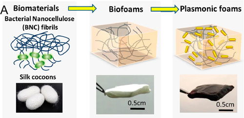 Schematic illustration showing the fabrication of plasmonic biofoams