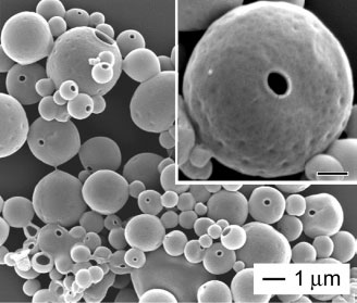 formation of microscale fish bowls from pre-synthesized polymer beads
