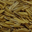 rice_husks