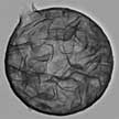 hollow_sphere