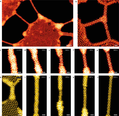 Patterning of a MoSe nanowire network