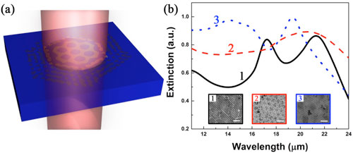 Schematics of the fabrication processes of the graphene moire metasurfaces on Si substrates