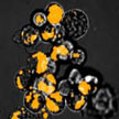 nanoparticles