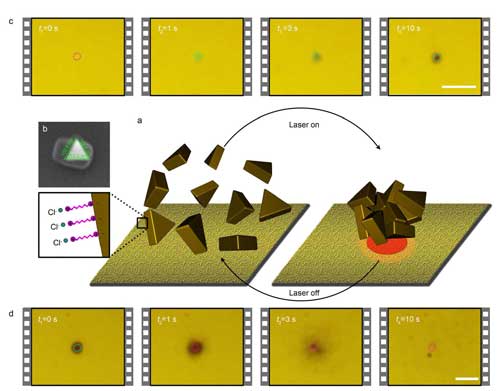 Light-directed reversible assembly of plasmonic nanoparticles based on plasmon-enhanced thermophoresis