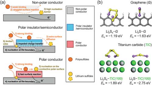 Role of polar conductor in surface reaction and nucleation