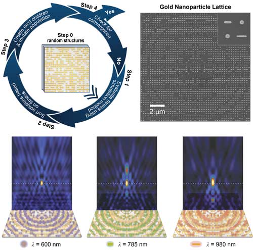 Lattice lenses optimized by an evolutionary algorithm demonstrated achromatic focusing at three widely separated wavelengths