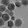 nanoparticles