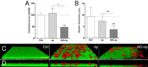 MRSA 6498 cells within mature biofilms are effectively killed by nitric-oxide releasing nanoparticles