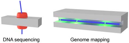 DNA sequencing with nanopores versus genome mapping with nanochannels