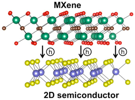the potential of MXenes as Schottky-barrier-free metal contacts to 2D semiconductors