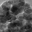 nanoparticles
