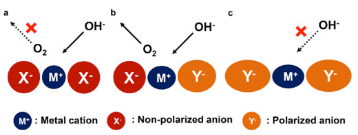 Schematic of anionic regulation by optimizing the electronic structure of active sites toward water oxidation