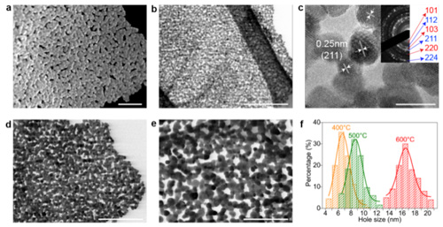 Electron microscopic images of 2D holey ZMO nanosheets