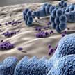 nanoparticles