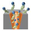 nanopore