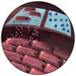 nanostructured biomaterials