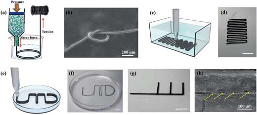 fabrication of 3D-printed cellulose nanofiber