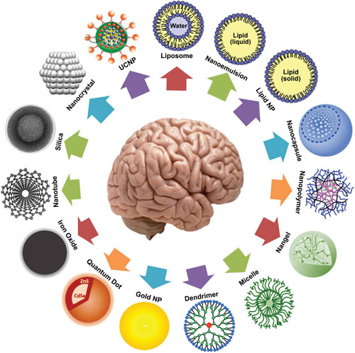 Schematic representation of different types of nanoparticle-based platforms and their roles in neuroscience application