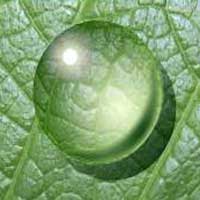 waterdrop
