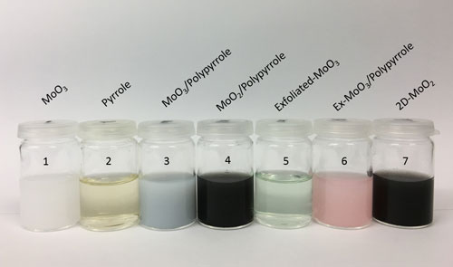various stages of the MoO2 synthesis process