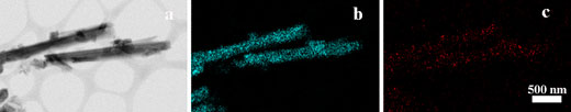 Dark field and fluorescence microscopy image of distribution of  modified halloysite nanotubes filled with the nanohydrogel in human cells