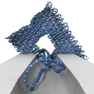 View of the DNA origami voltage sensor through the nanochannel