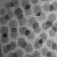 multifunctional_nanoparticles